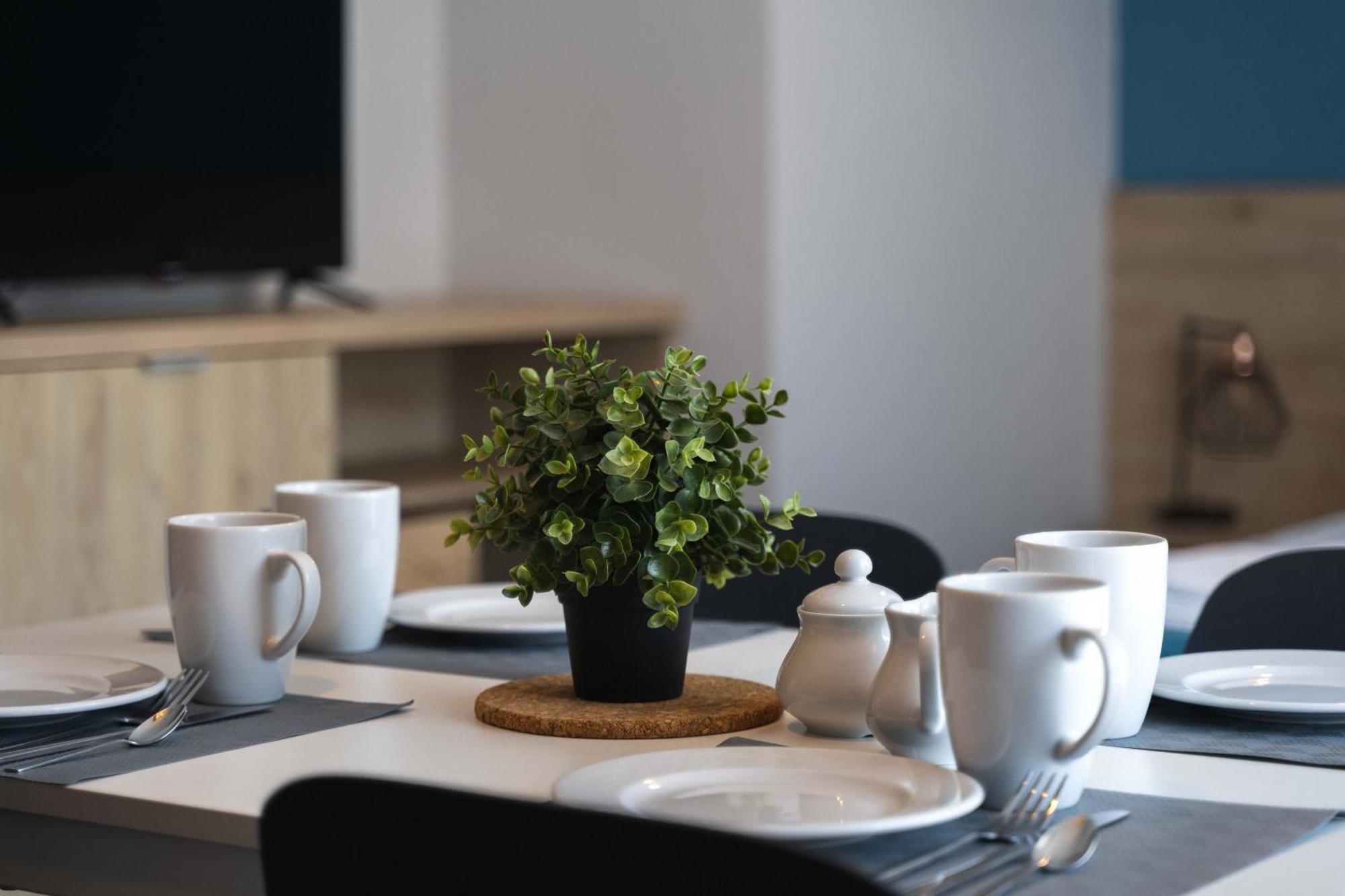 Apartamenty Jasienczyk ミエレンコ エクステリア 写真