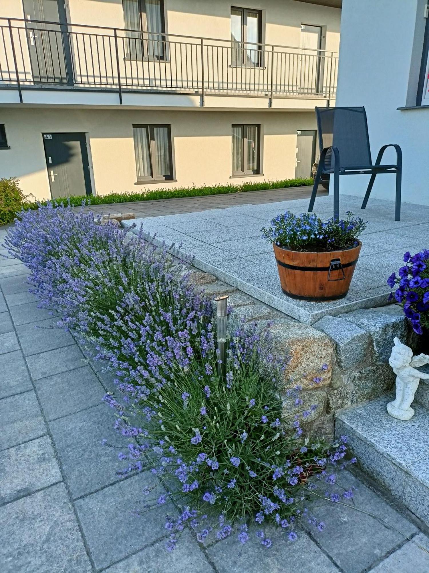 Apartamenty Jasienczyk ミエレンコ エクステリア 写真