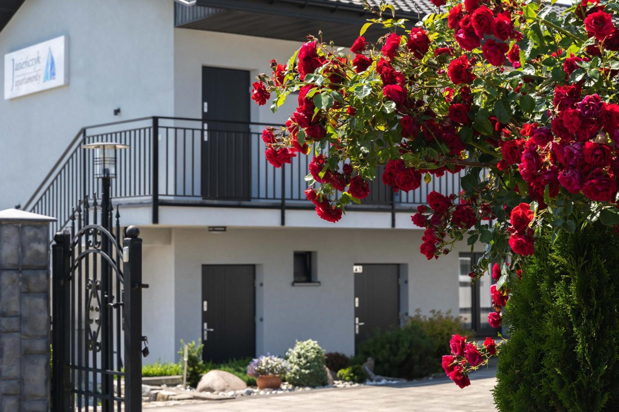 Apartamenty Jasienczyk ミエレンコ エクステリア 写真