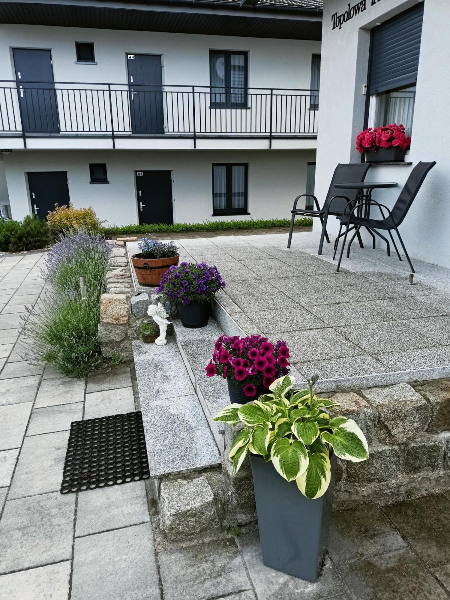 Apartamenty Jasienczyk ミエレンコ エクステリア 写真